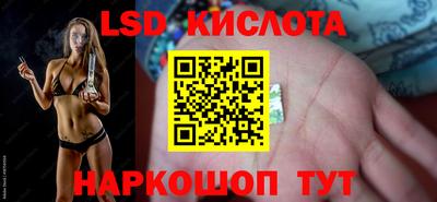 эйфоретик Владимир