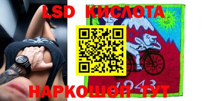 эйфоретик Владимир