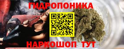 эйфоретик Владимир