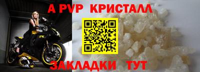 эйфоретик Владимир