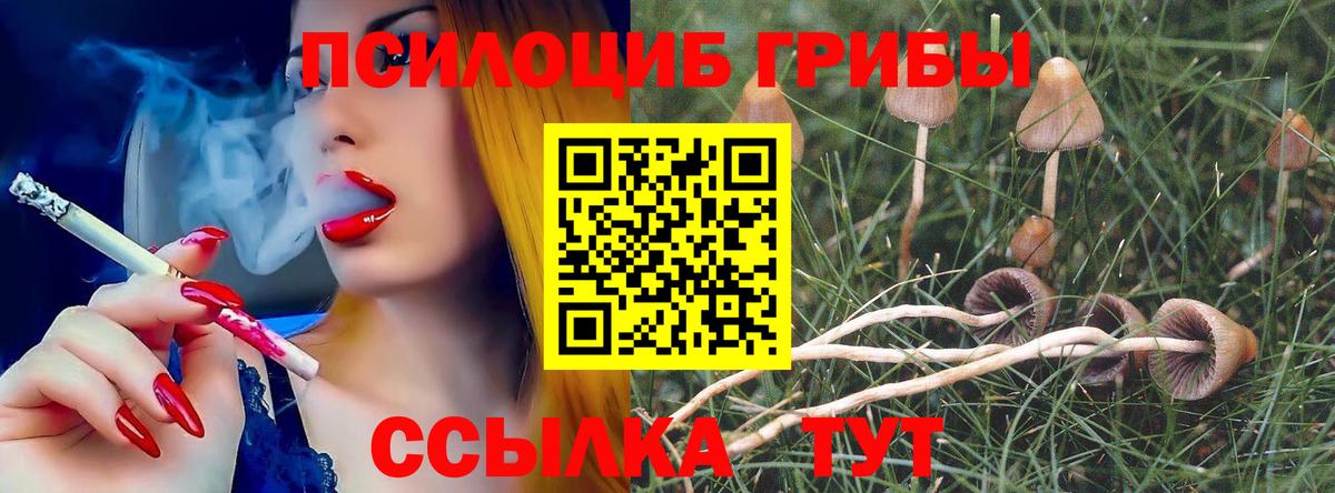 Галлюциногенные грибы MAGIC MUSHROOMS Асино