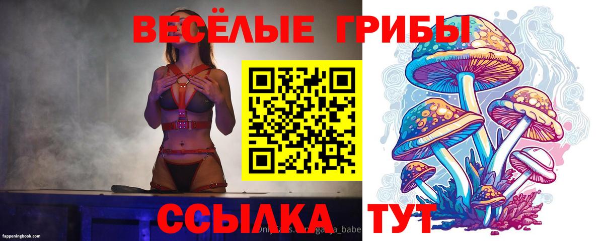 Галлюциногенные грибы GOLDEN TEACHER  Вход с VPN  Галлюциногенные грибы ЛСД  магазин    Асино 