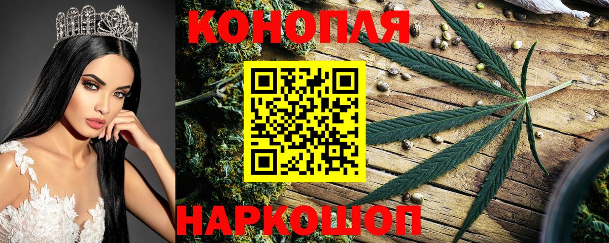 Марихуана план  Конопля Bruce Banner  Каннабис Amnesia  Вход с VPN  Асино 